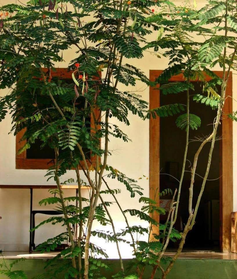 Pousada Villa da Gama Araquari Quarto foto